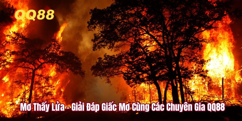 Mơ Thấy Lửa - Giải Đáp Giấc Mơ Cùng Các Chuyên Gia QQ88