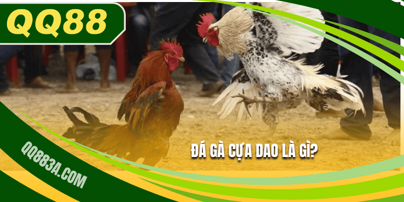 Định nghĩa về trò chơi đá gà cựa dao