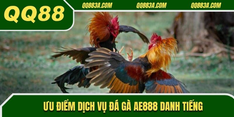 Ưu điểm của dịch vụ đá gà AE888 danh tiếng
